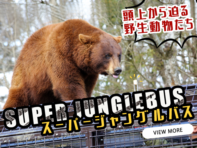 メインイメージ