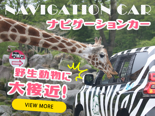 メインイメージ