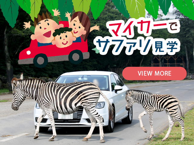 メインイメージ