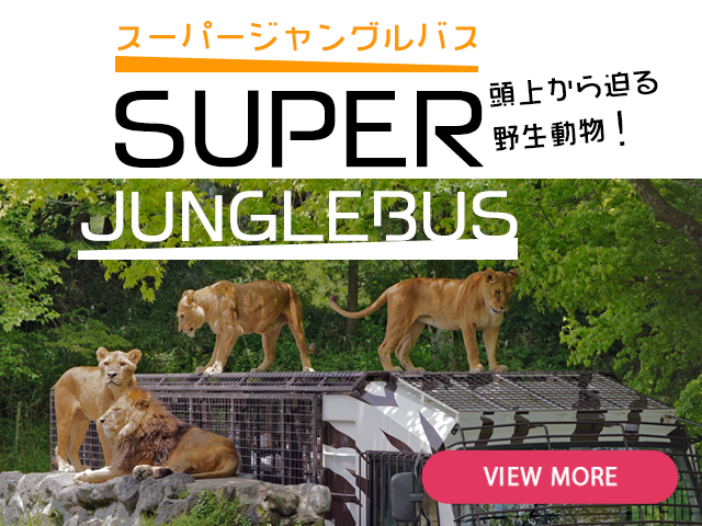 富士サファリパーク 公式サイト