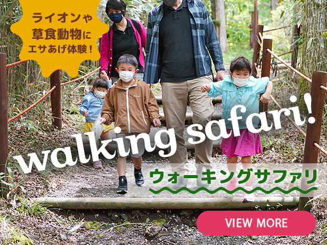 メインイメージ