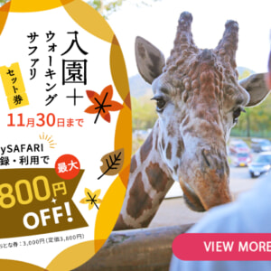 記事「ウォーキングサファリの営業は11月30日まで!お得な「入園+ウォーキングサファリ」のセット券を販売中!」の画像