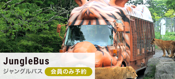 ジャングルバス