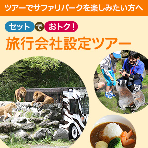 セットでお得！旅行会社設定ツアー
