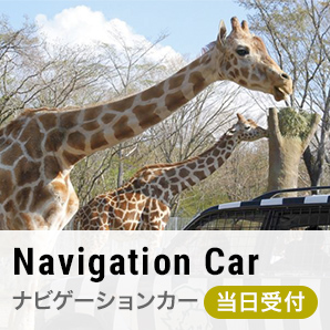 ナビゲーションカー