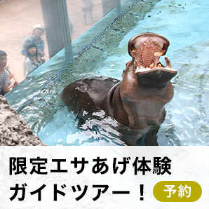 限定エサあげ体験ガイドツアー