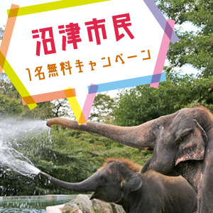 記事「沼津市民1名無料キャンペーン(7月1日から)」の画像