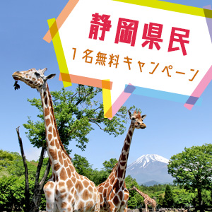 記事「静岡県民1名無料キャンペーン(8月21日から)」の画像