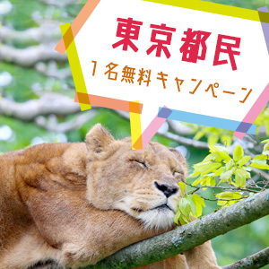 記事「東京都民1名無料キャンペーン(10月1日から)」の画像