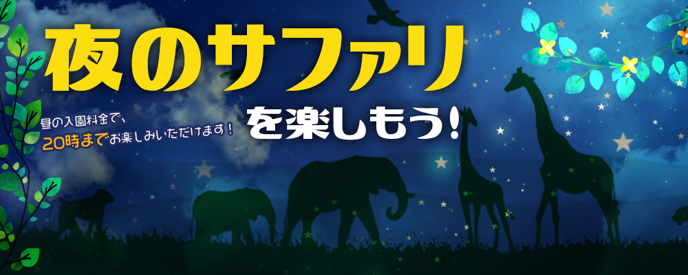 夜のサファリを楽しもう！