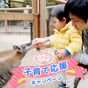 記事「子育て応援キャンペーン」の画像