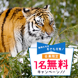 記事「会員限定《冬期》1名無料キャンペーン(2月28日まで)」の画像