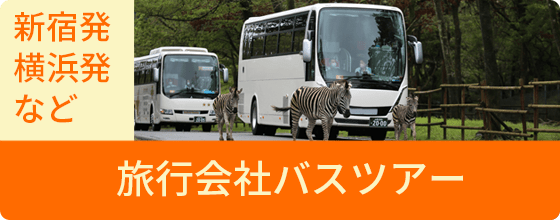 旅行会社バスツアー（新宿発、横浜発など）