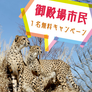 記事「御殿場市民1名無料キャンペーン(2月1日から)」の画像