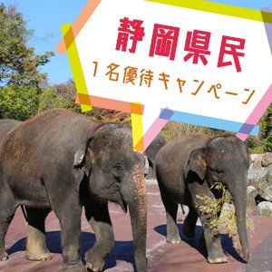 記事「静岡県民1名優待キャンペーン(2月23日・24日)」の画像