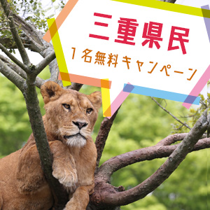 記事「三重県民1名無料キャンペーン(4月1日から)」の画像