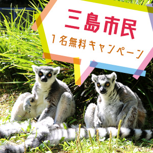記事「三島市民1名無料キャンペーン(4月16日から)」の画像