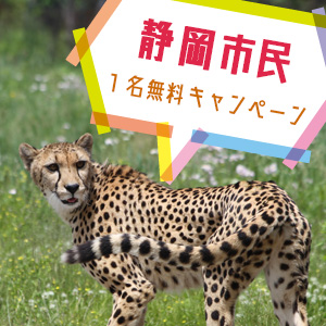 記事「静岡市民1名無料キャンペーン(4月1日から)」の画像