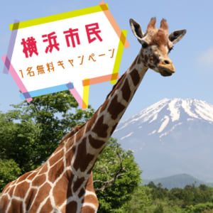 記事「横浜市民1名無料キャンペーン(6月1日から)」の画像