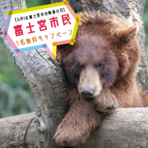 記事「富士宮市民1名無料キャンペーン(6月1日から)」の画像