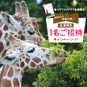 記事「会員限定 1名ご招待キャンペーン(9月30日まで)」の画像