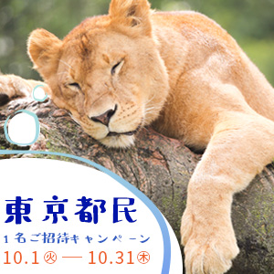 記事「東京都民1名ご招待キャンペーン(10月1日から)」の画像