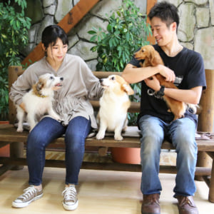 記事「【平日限定】イヌの館ふれあい体験 スタート!」の画像