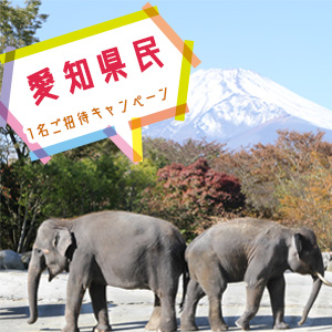 記事「愛知県民 1名ご招待キャンペーン(11月1日から)」の画像