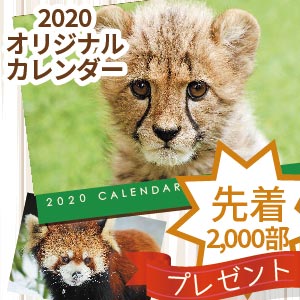 記事「【会員限定】カレンダー 来園プレゼント 11月9日(土)から開始!」の画像