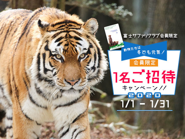 メインイメージ