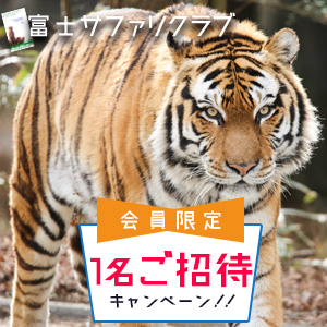 記事「【会員限定】1名ご招待キャンペーン(1月1日から)」の画像