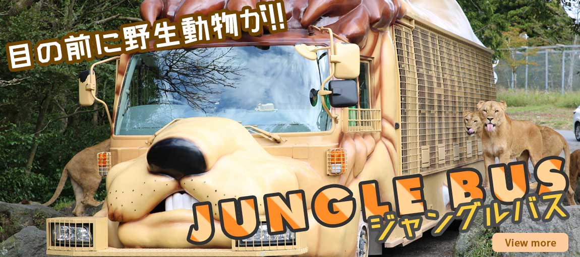 メインイメージ