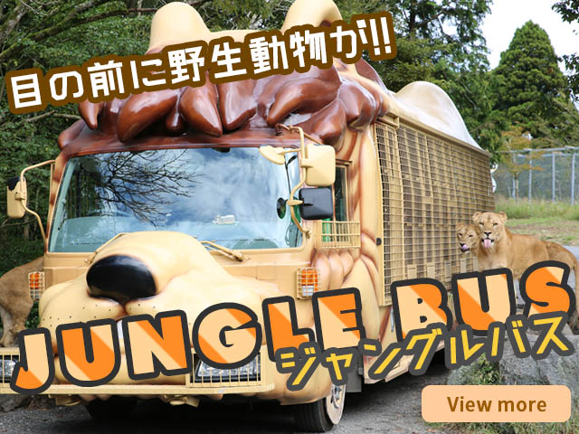 メインイメージ