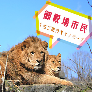 記事「御殿場市民1名ご招待キャンペーン(2月11日まで)」の画像