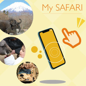 記事「「My SAFARI」登録・受付開始は2月27日スタート!」の画像