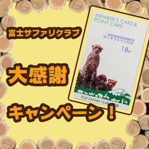 記事「「富士サファリクラブ」大感謝キャンペーン 9月30日まで!!」の画像