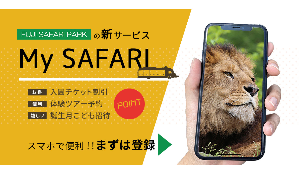 お得で便利な『My SAFARI』！スマホで簡単に登録！ - 富士 ...