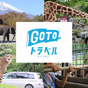 記事「地域共通クーポンについて(Go To トラベルキャンペーン)【一時停止中】」の画像