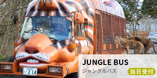 ジャングルバス