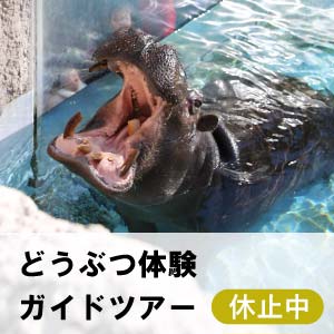 どうぶつ体験ガイドツアー