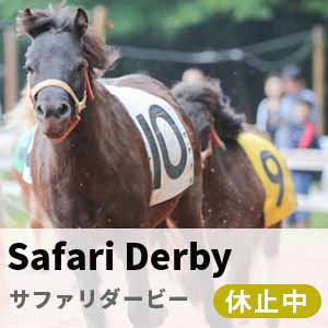 サファリダービー