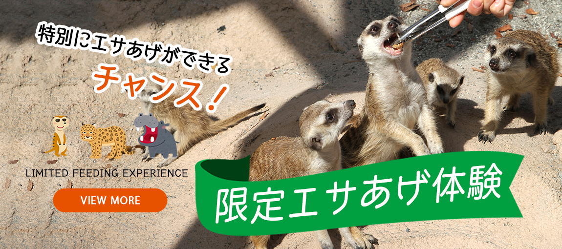 メインイメージ