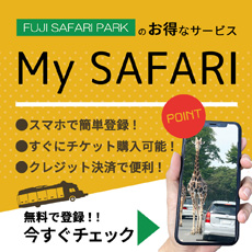 My SAFARI登録