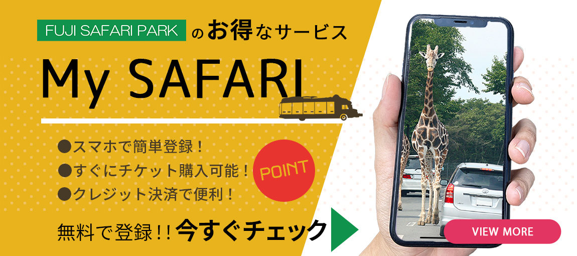 メインイメージ