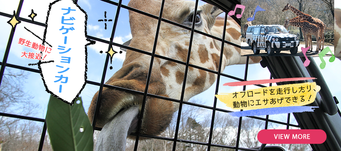 メインイメージ