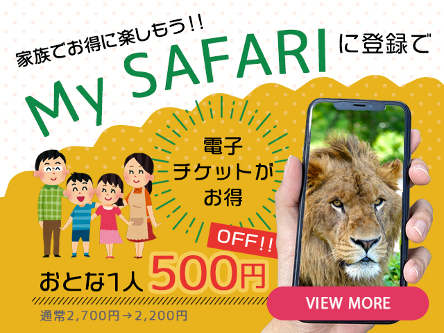 メインイメージ