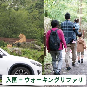 記事「「入園＋ウォーキングサファリ」のお得なプラン！（5月31日まで）」の画像