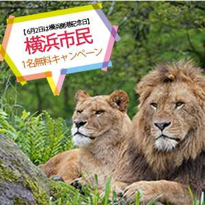 記事「横浜市民《1名無料》キャンペーン（6月1日～14日）」の画像