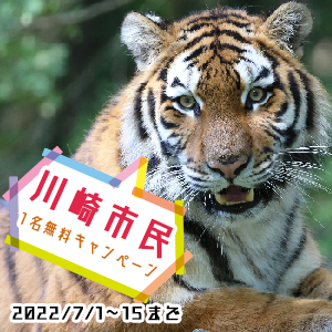 記事「川崎市民《1名無料》キャンペーン（7月1日～15日）」の画像
