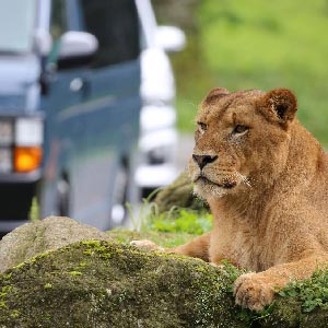 記事「入園受付時間のご案内!」の画像
